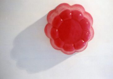 Pink plum, Koosje Schmeddes, 200